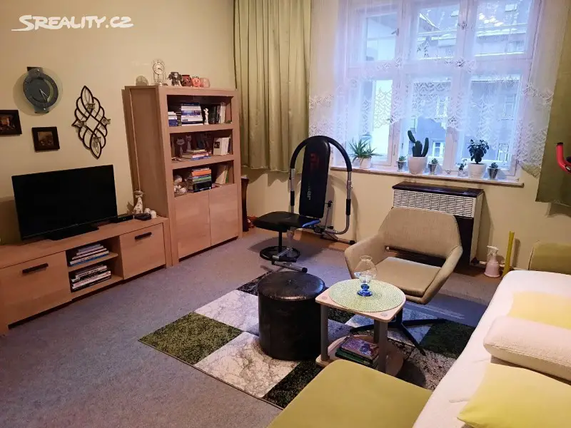 Prodej bytu 1+1 47 m², Mlýnská, Liberec - Liberec IV-Perštýn