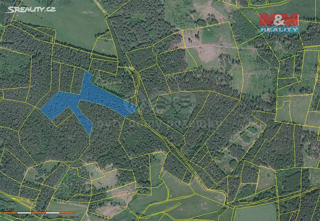 Prodej  lesa 86 095 m², Přechovice, okres Strakonice