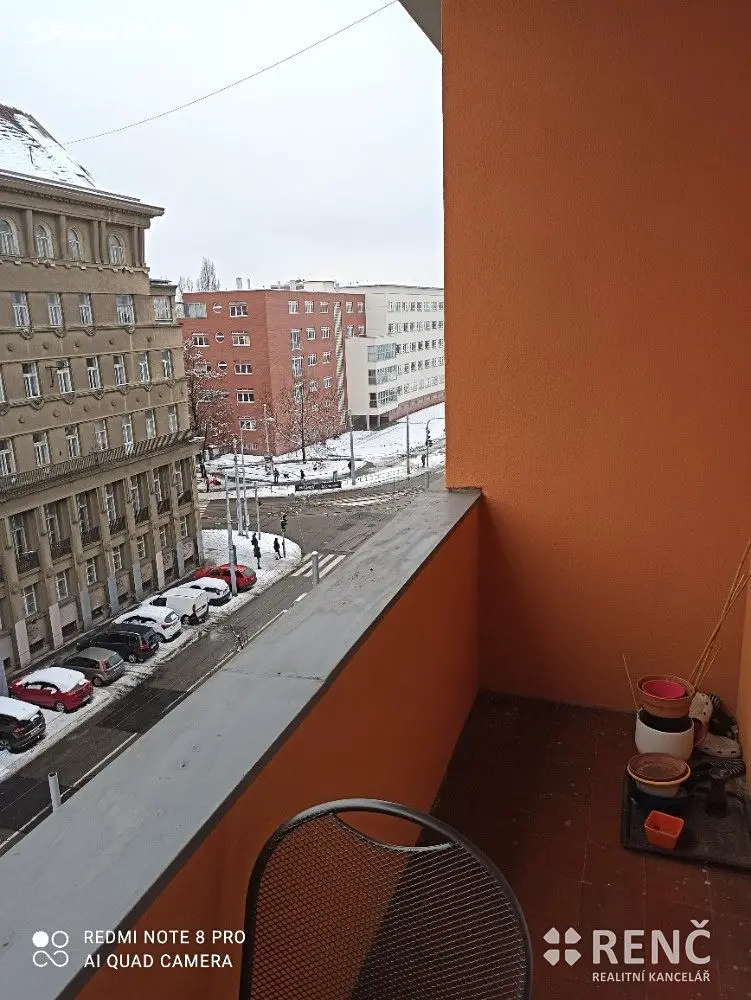 Pronájem bytu 1+1 48 m², Kounicova, Brno - Veveří
