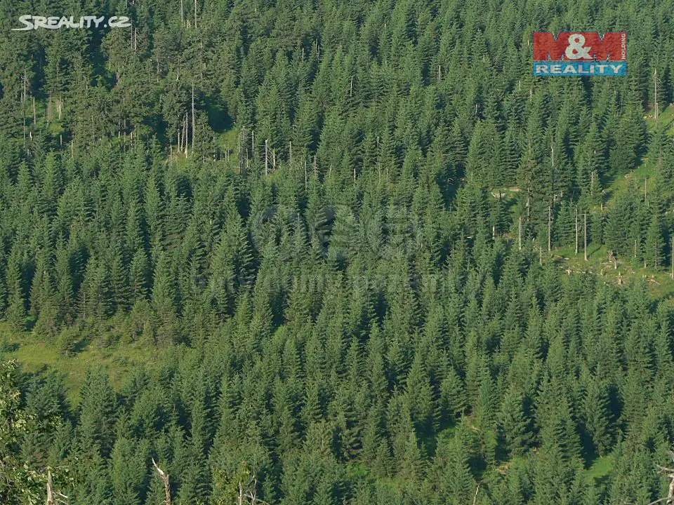 Prodej  lesa 4 165 m², Křoví, okres Žďár nad Sázavou