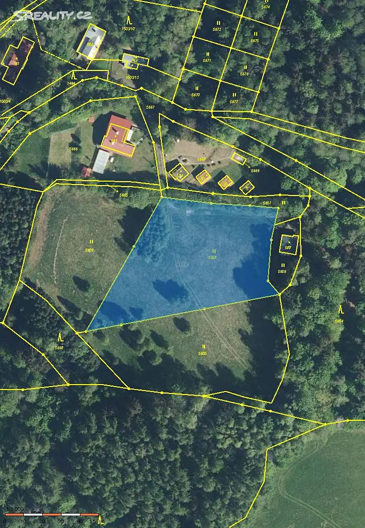 Prodej  pozemku 4 525 m², Pastviny, okres Ústí nad Orlicí