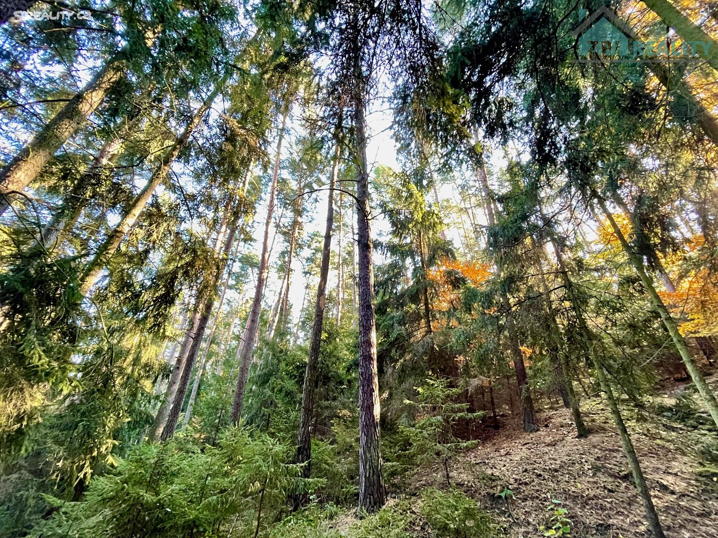 Prodej  lesa 10 238 m², Dolní Hbity - Luhy, okres Příbram