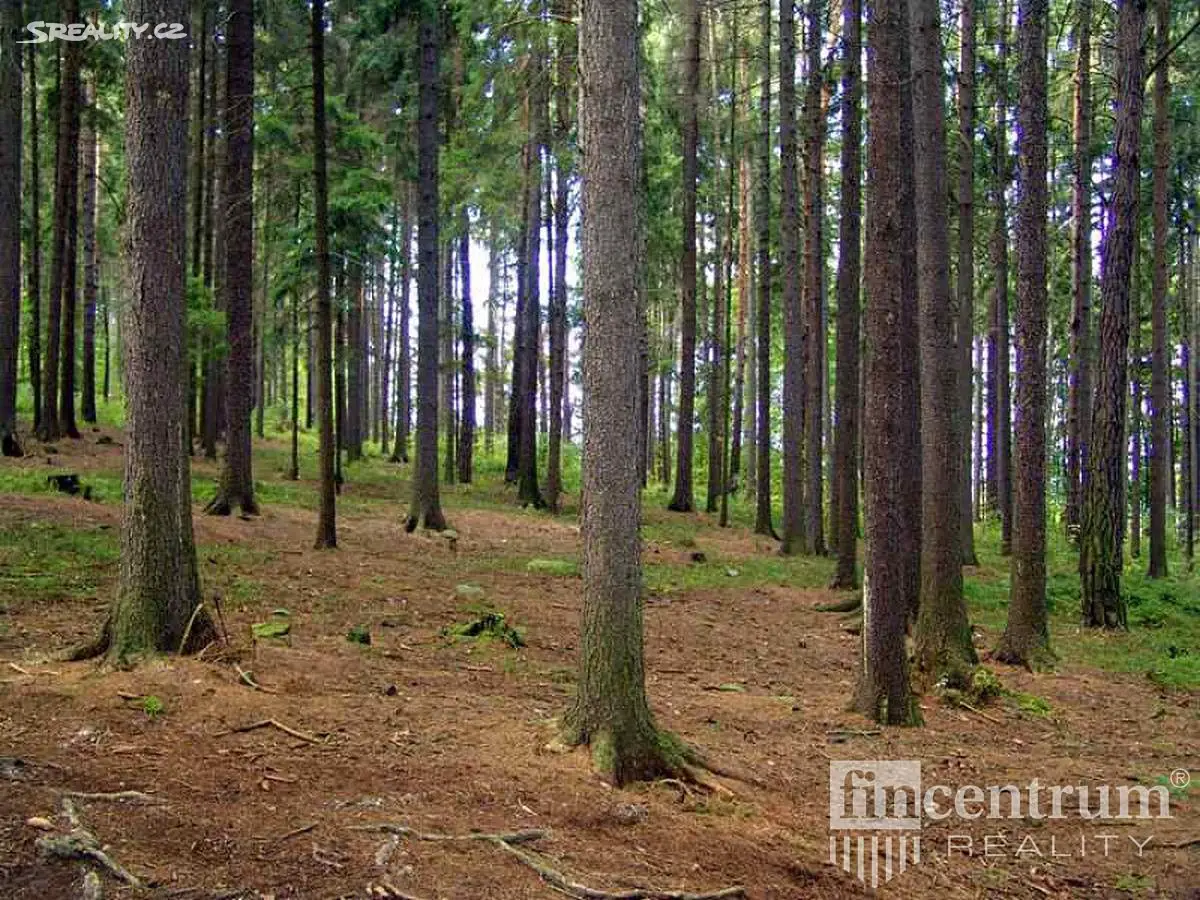 Prodej  lesa 18 992 m², Lužná, okres Vsetín