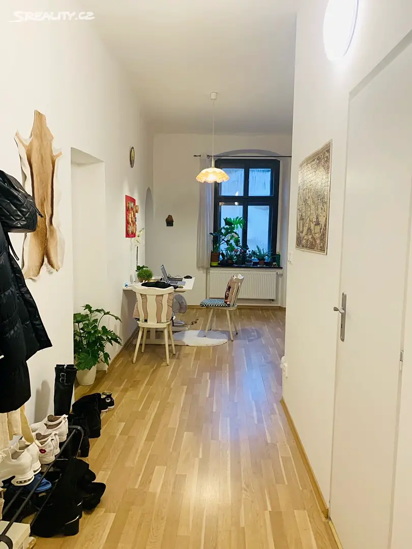 Pronájem bytu 1+1 54 m², Riegrova, Olomouc
