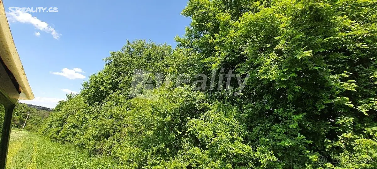 Prodej  lesa 6 650 m², Kožichovice, okres Třebíč