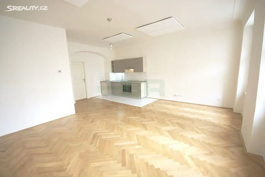 Pronájem bytu 1+kk 44 m², Vodičkova, Praha 1 - Nové Město