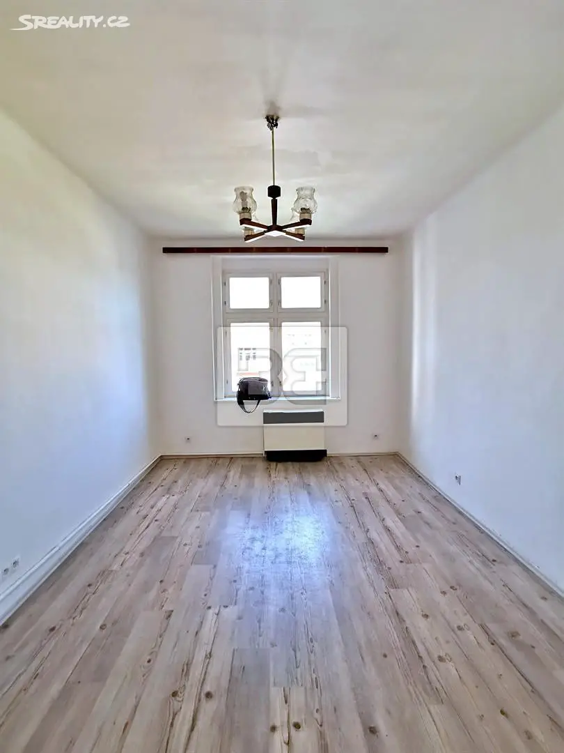 Pronájem bytu 2+1 46 m², Přemyslovská, Praha 3 - Žižkov
