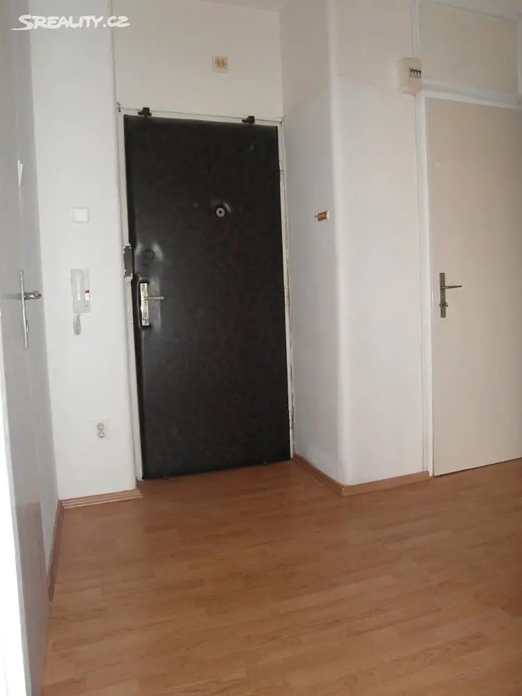 Pronájem bytu 2+1 49 m², Dřevařská, Brno - Veveří