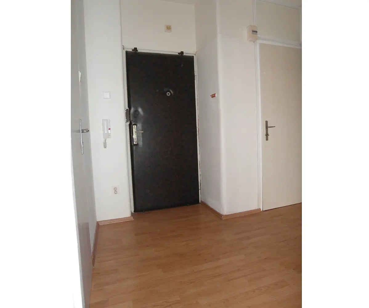 Pronájem bytu 2+1 49 m², Dřevařská, Brno - Veveří