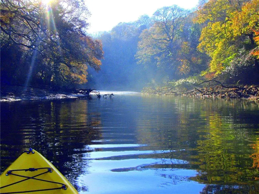 Kayaking On The Rive