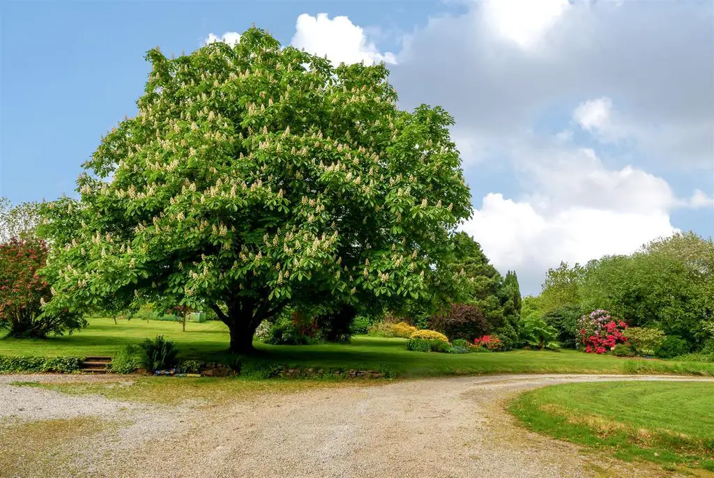 Gardens