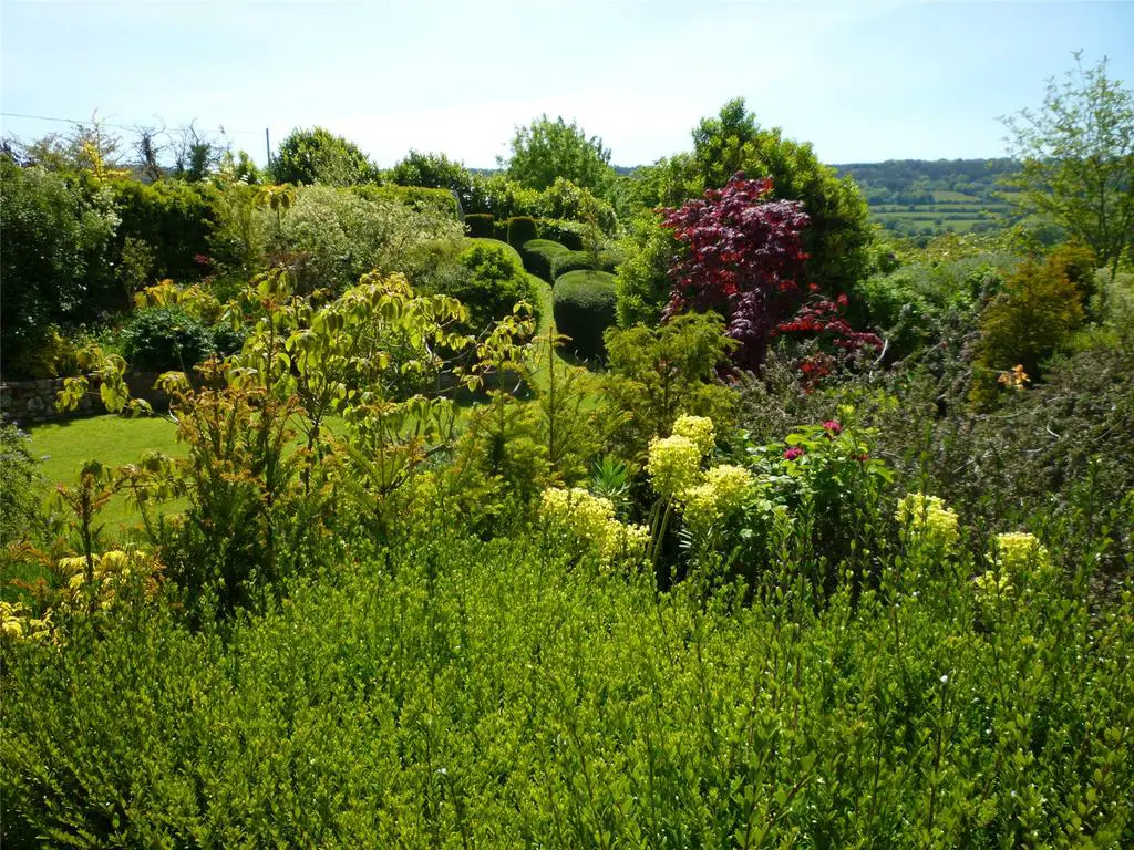 Summer Garden