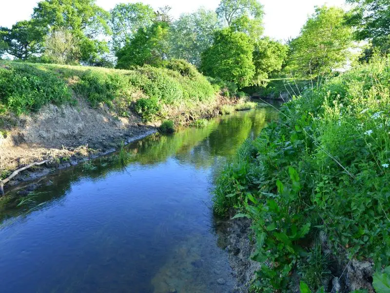 The River Mole, Horley
