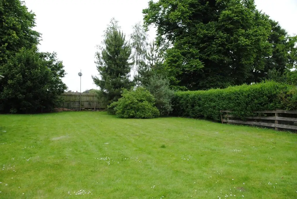 Rear garden