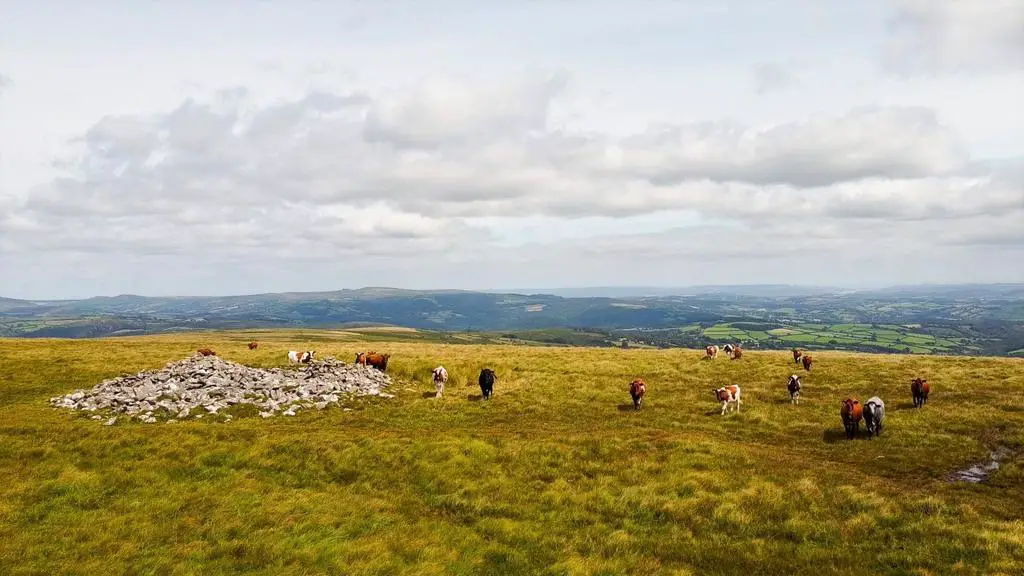 Cairn &amp; Cattle