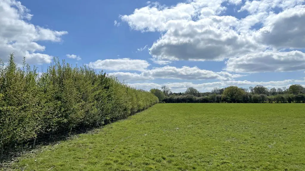 Land for sale in Edenbridge, Kent