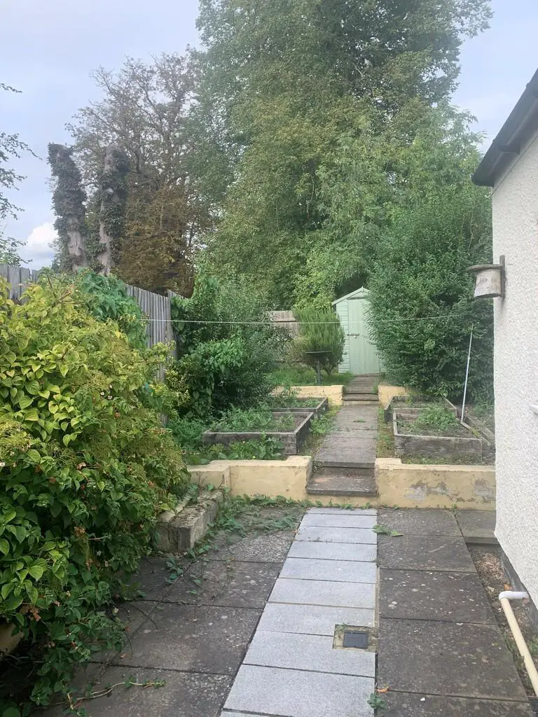 Back garden 1