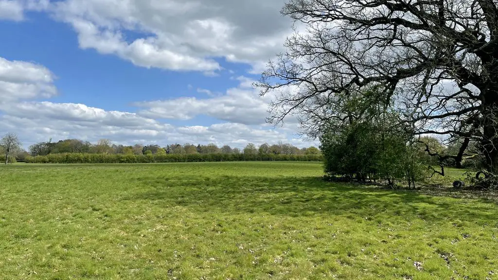 Lush pasture land for sale in Edenbridge, Kent
