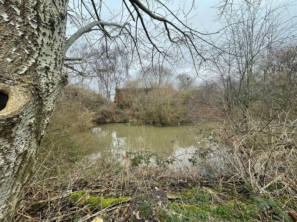 Pond 5.jpg