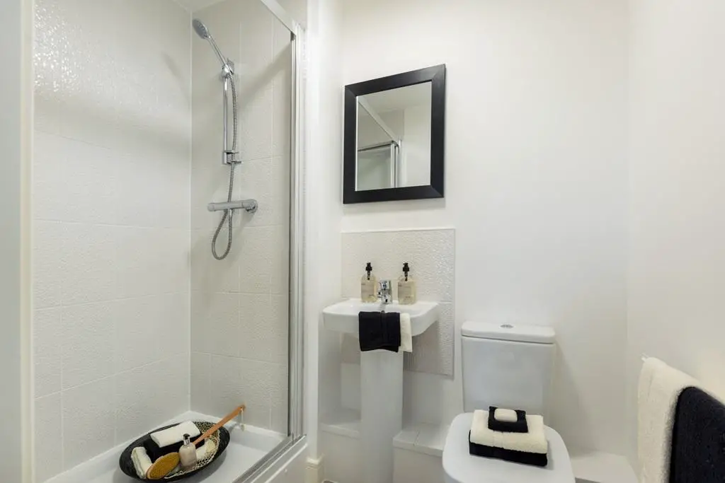 Modern bathroom with choice of tiles