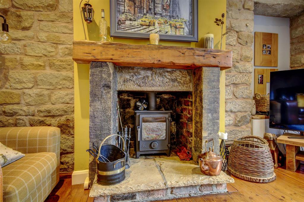 Feature wood burning stove