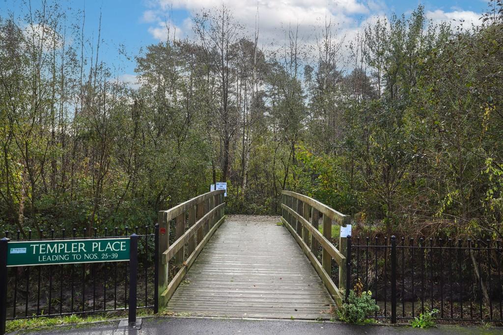 Bridge to Nature Reserve