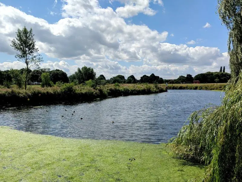 Carr Park Lake, Nottinghamshire