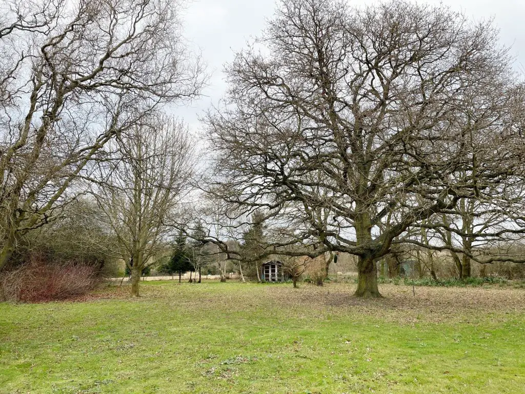 View of garden to the rear towards the summerhouse