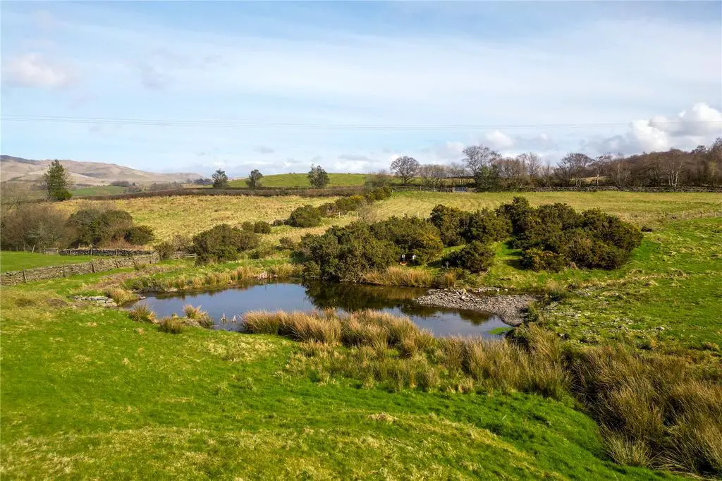 Land and Pond