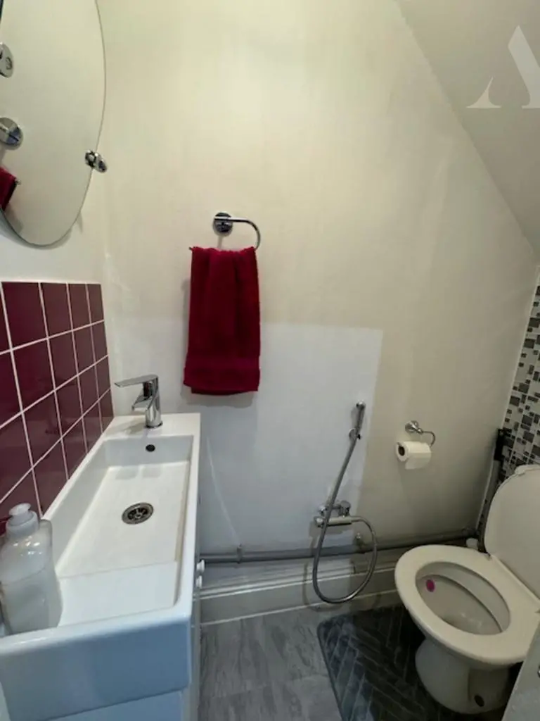 46 Old Bromford Lane guest wc