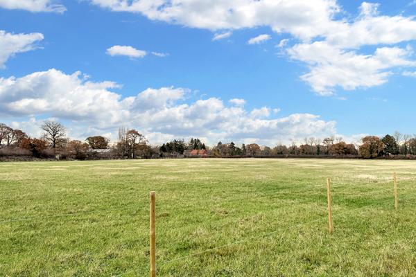 Flat, grazing land for sale in Newchapel.