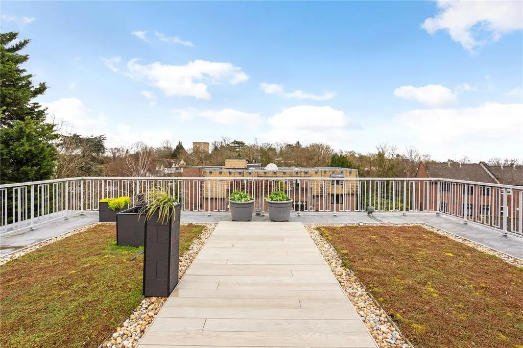 Roof Terrace