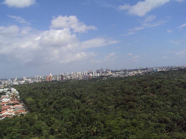 Foto 3 de Apartamento com 1 Quarto para alugar, 59m² em Dom Pedro I, Manaus