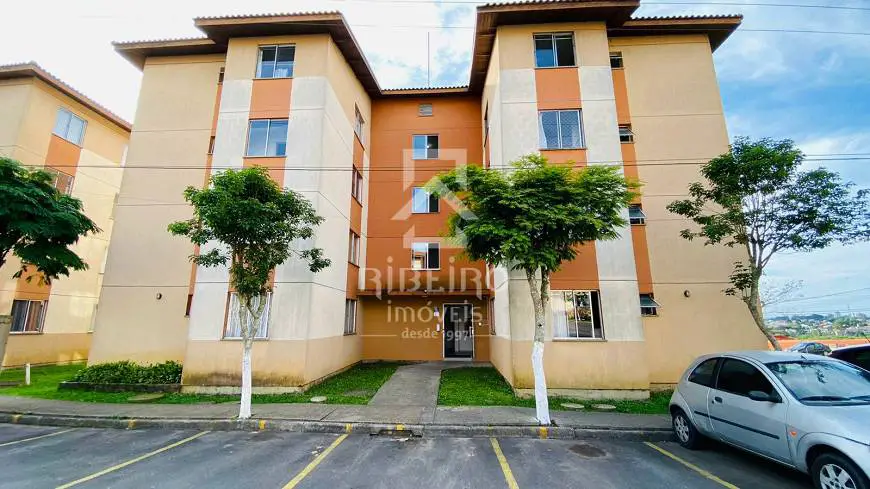 Foto 5 de Apartamento com 2 Quartos para alugar, 43m² em Colônia Rio Grande, São José dos Pinhais