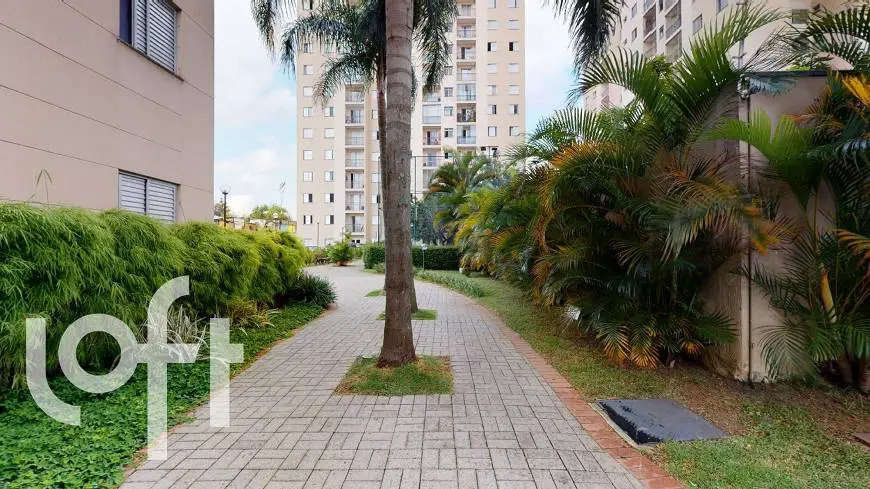 Foto 3 de Apartamento com 3 Quartos à venda, 74m² em Jabaquara, São Paulo