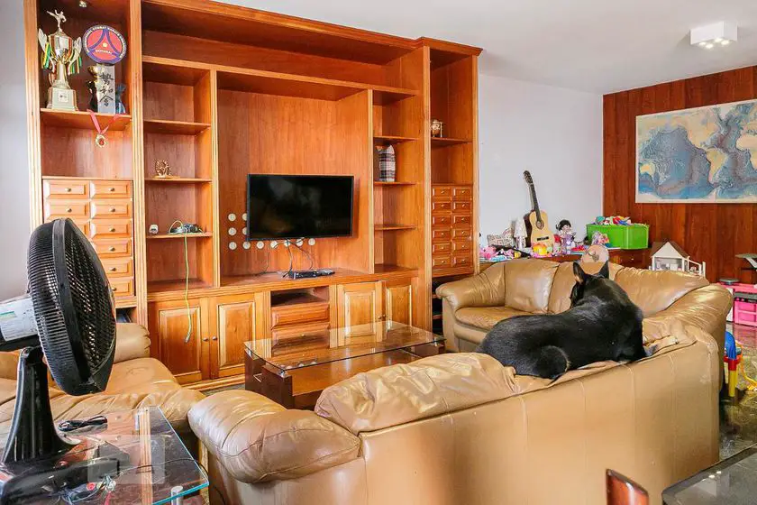 Foto 2 de Casa com 5 Quartos para alugar, 298m² em Vila Madalena, São Paulo