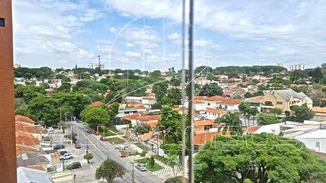 Foto 5 de Cobertura com 5 Quartos à venda, 400m² em Alto da Lapa, São Paulo