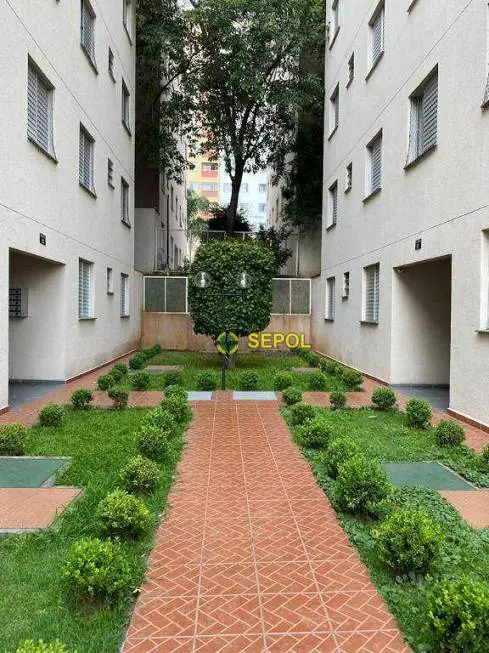 Foto 1 de Apartamento com 3 Quartos para alugar, 80m² em Jardim Santa Terezinha, São Paulo
