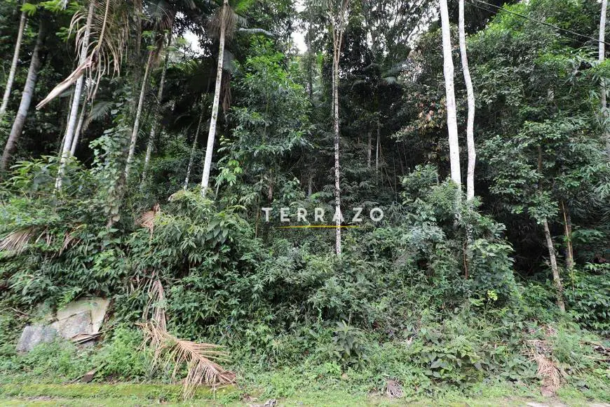 Foto 3 de Lote/Terreno à venda, 900m² em Prata, Teresópolis