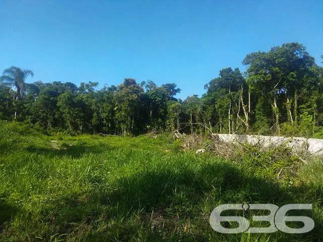 Foto 1 de Lote/Terreno à venda, 2500m² em Porto Grande, Araquari