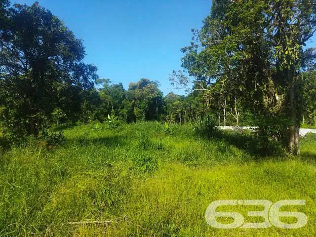 Foto 2 de Lote/Terreno à venda, 2500m² em Porto Grande, Araquari