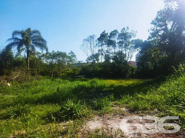 Foto 4 de Lote/Terreno à venda, 2500m² em Porto Grande, Araquari