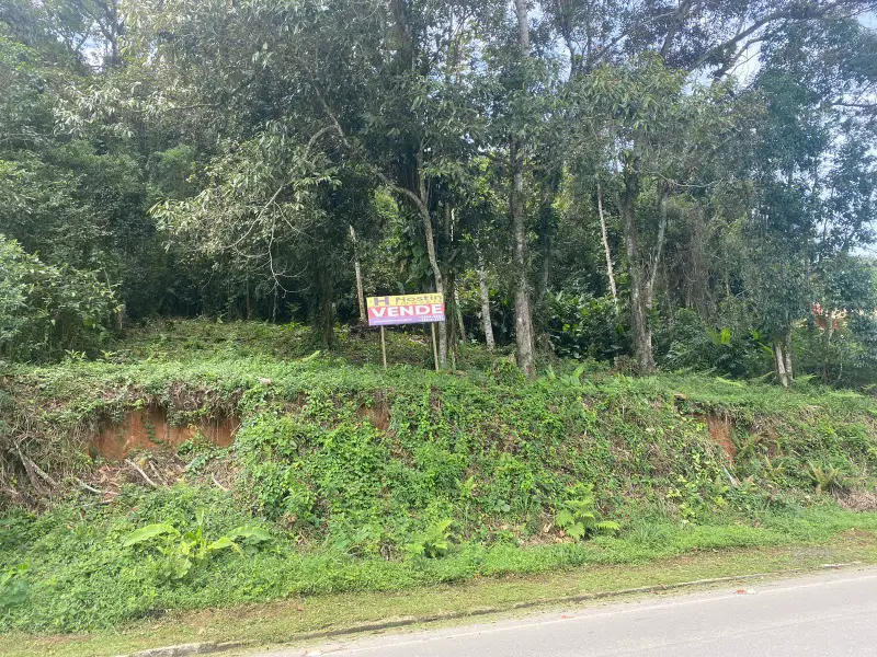 Foto 1 de Lote/Terreno à venda, 4000m² em Rocio Grande, São Francisco do Sul