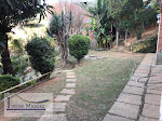 Foto 5 de Casa com 2 Quartos à venda, 12656m² em , Paty do Alferes
