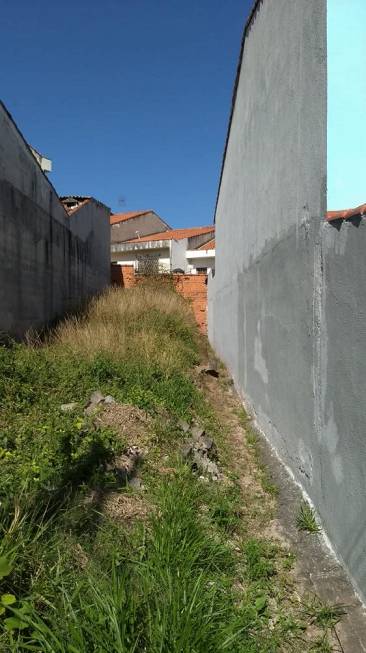 Foto 5 de Lote/Terreno com 1 Quarto à venda, 125m² em Nova Petrópolis, São Bernardo do Campo