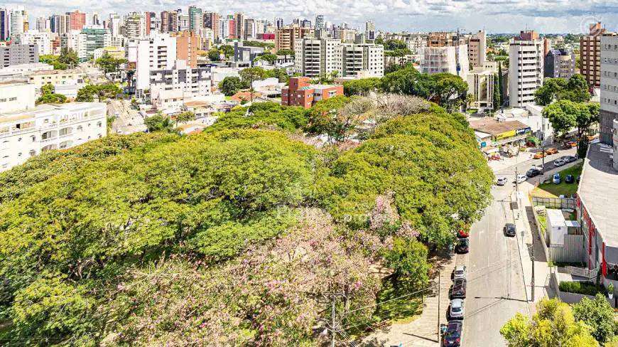 Foto 4 de Apartamento com 3 Quartos para alugar, 255m² em Batel, Curitiba