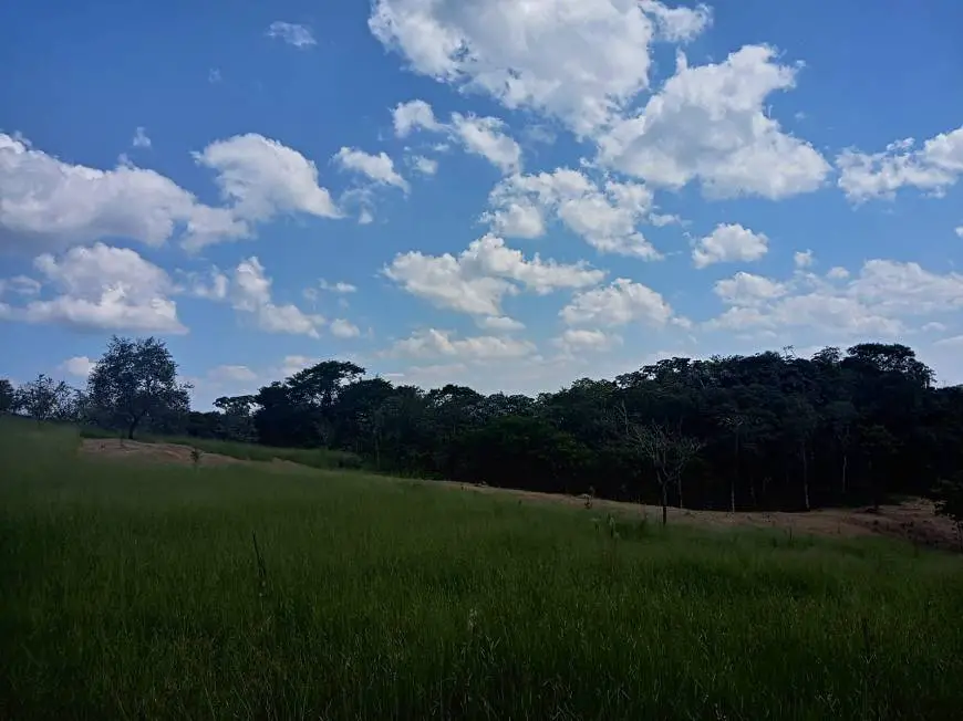 Foto 3 de Lote/Terreno à venda, 800m² em Fazenda da Juta, São Paulo
