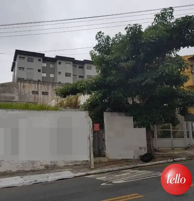 Foto 5 de Lote/Terreno com 1 Quarto à venda, 400m² em Santa Maria, São Caetano do Sul