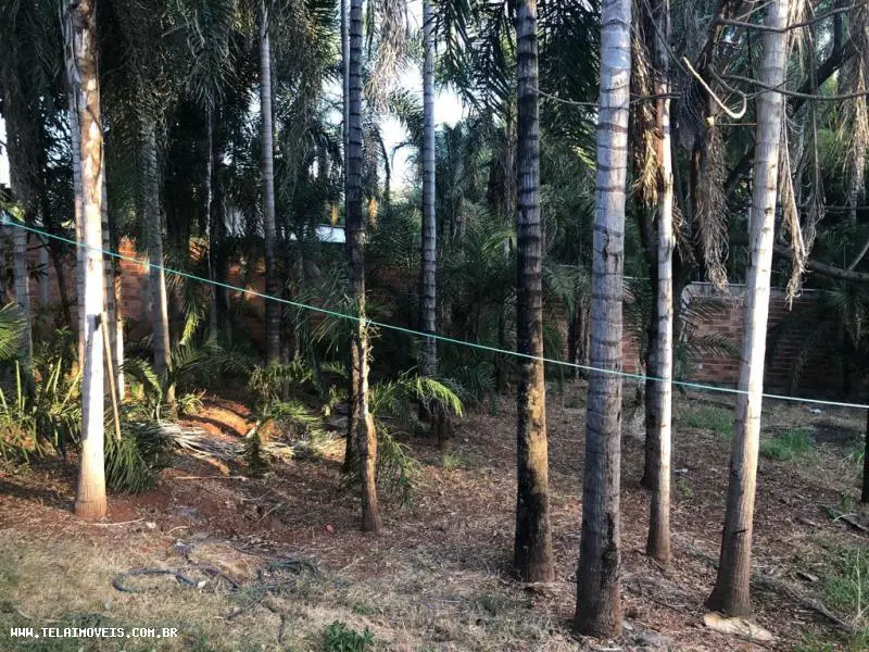 Foto 3 de Lote/Terreno à venda, 1000m² em Jardim América, Goiânia