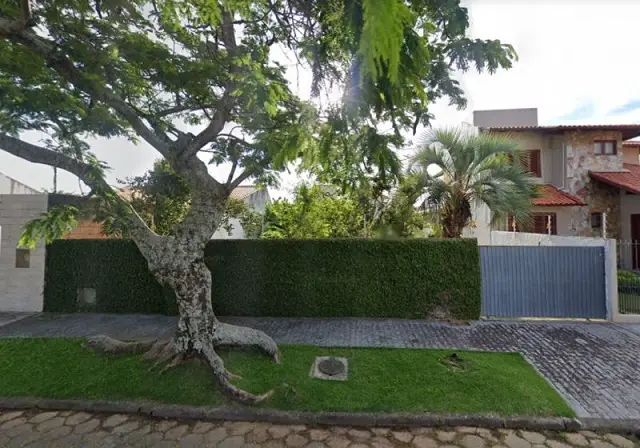 Foto 3 de Lote/Terreno à venda, 504m² em Córrego Grande, Florianópolis